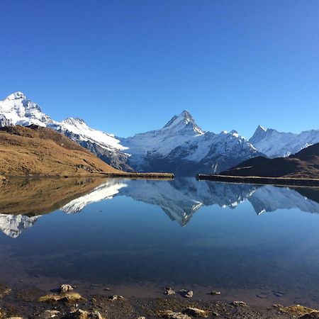 Chalet Verbrunnenhaus Grindelwaldアパートメント エクステリア 写真