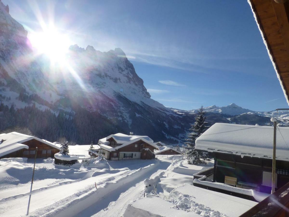 Chalet Verbrunnenhaus Grindelwaldアパートメント エクステリア 写真