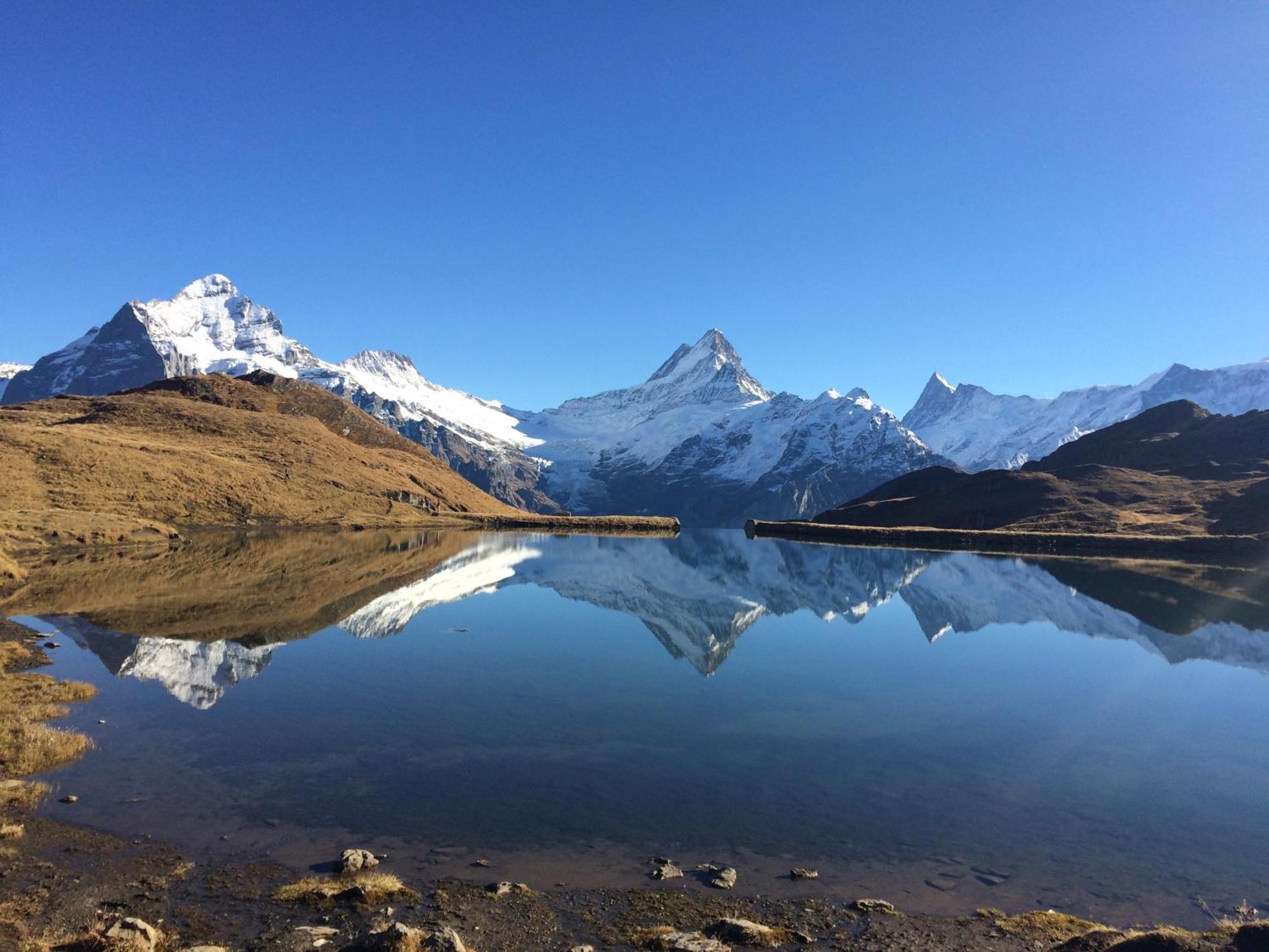 Chalet Verbrunnenhaus Grindelwaldアパートメント エクステリア 写真