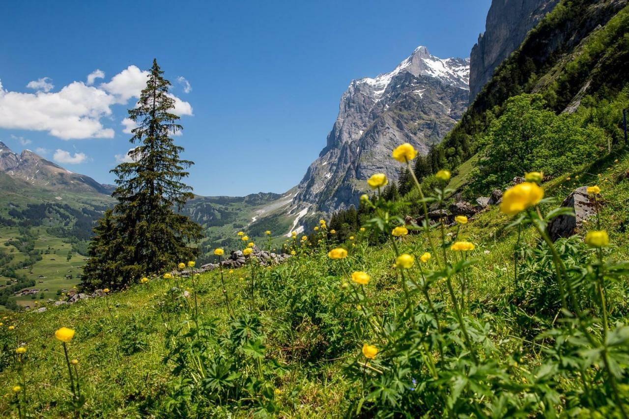 Chalet Verbrunnenhaus Grindelwaldアパートメント エクステリア 写真