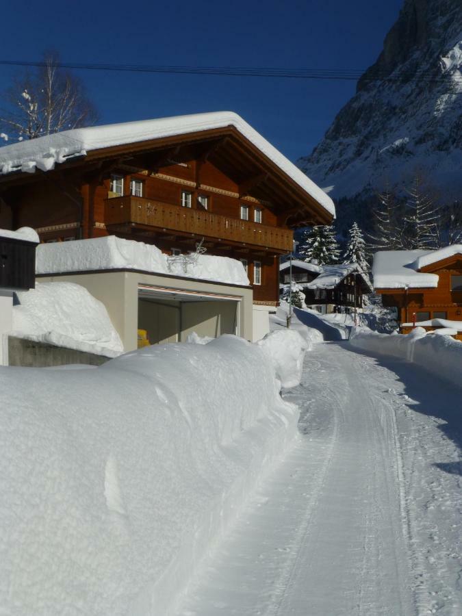 Chalet Verbrunnenhaus Grindelwaldアパートメント エクステリア 写真