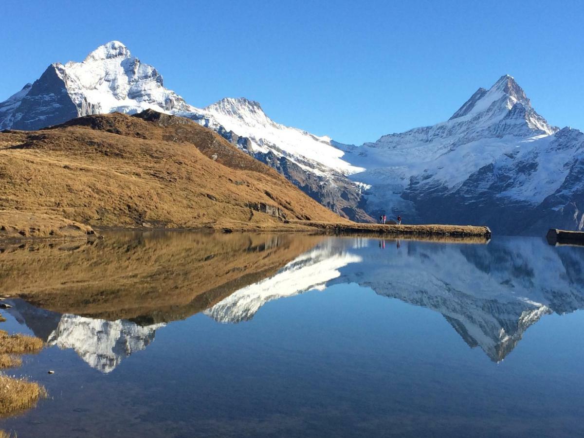 Chalet Verbrunnenhaus Grindelwaldアパートメント エクステリア 写真