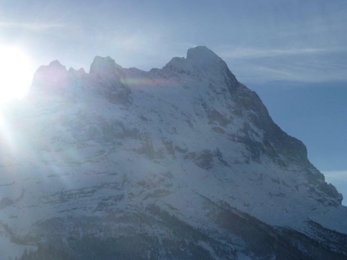 Chalet Verbrunnenhaus Grindelwaldアパートメント エクステリア 写真